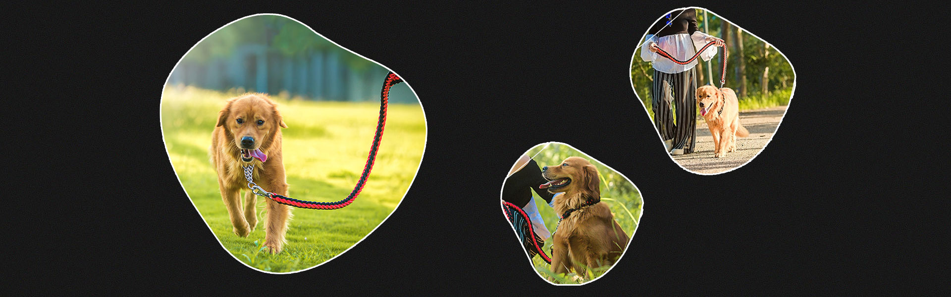 dog tags,key ring tags,qrcode tags,Dongguan Opensesame Tech CO.,LTD