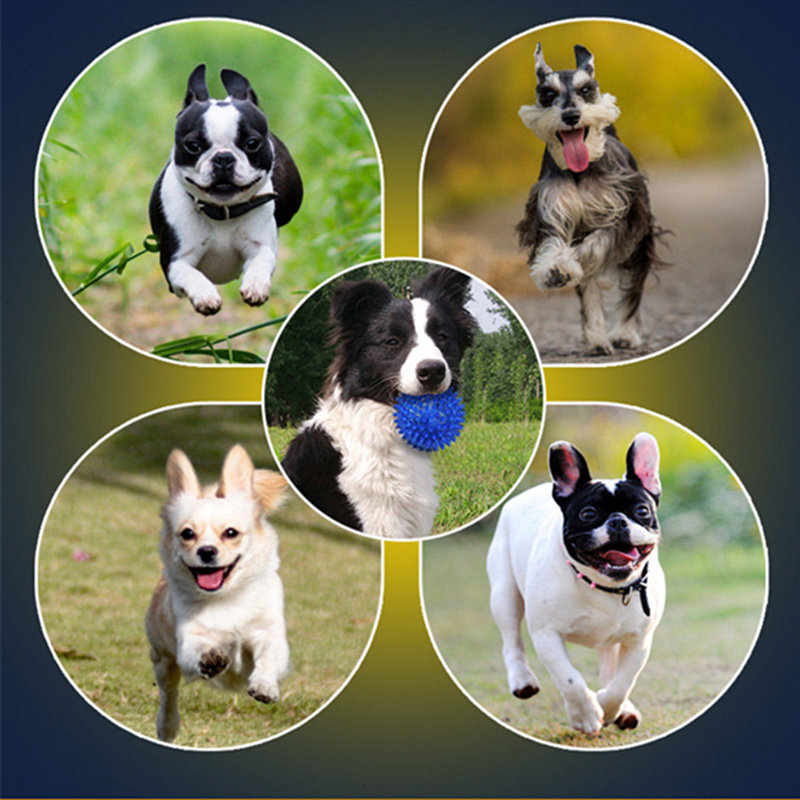 How to reduce the destructive power of dogs
